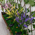 lavenderglow-solarlampe-aussenbeleuchtung-umweltfreundlich-wetterfest-energieeffizient-xlumina8