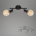 BRILONER - Deckenlampe Vintage schwenkbar, E27 Fassung, max. 60 Watt, Deckenleuchte, Lampe, Wohnzimmerlampe, Schlafzimmerlampe, Küchenlampe, Deckenstrahler, 27,5x10x10,5 cm, Schwarz