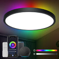 Anten 24W Smart LED Deckenlampe Ø30CM 2800LM RGB Wifi Deckenleuchte mit Fernsteuerung Steuerbar via App Kompatibel Alexa und Google Assistant für Wohnzimmer, Schwarz, (GA300-24W)