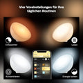 Philips Hue White & Color Ambiance Go Tischleuchte (530 lm), dimmbare LED Leuchte für das Hue Lichtsystem mit 16 Mio. Farben, smarte Lichtsteuerung über Sprache oder App, weiß