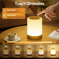 Nachttischlampe Touch Dimmbar, 4 Modi & 256 RGB Farbwechsel Warmes LED Nachtlicht Kinder, USB Aufladbar Stilllicht Touch Lampe mit Timing Funktion, Tischlampe Kabellos für Schlafzimmer Wohnzimmer
