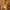 austin-retro-metall-holz-pendelleuchte-industrial-vintage-xlumina4