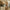 bamboo-tischlampe-aus-bambus-naturlich-minimalistisch-led-beleuchtung-xlumina