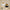 charmapple-led-tischleuchte-gold-silber-rosegold-ambiente-beleuchtung-xlumina2