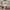 cleo-ring-led-kristall-kronleuchter-schwarz-3-ringe-durchmesser-40-60-80-cm-xlumina4