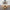 holz-retro-deckenleuchte-indoor-chandelier-lampe-modern-stil-retro-xlumina4