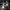 blattlampe-kreative-led-wandlampe-gold-schwarz-modern-dekor-xluxmina3