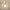 blattlampe-kreative-led-wandlampe-gold-schwarz-modern-dekor-xluxmina6