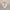 luminouslux-led-pendelleuchte-modern-energiesparend-wohnzimmer-schwarz-60cm-xlumina6