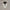 luminouslux-led-pendelleuchte-modern-energiesparend-wohnzimmer-schwarz-60cm-xlumina8