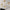 luminouslux-led-pendelleuchte-modern-energiesparend-wohnzimmer-schwarz-60cm-xlumina