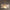 omoore-straussenfeder-kronleuchter-exklusives-design-mit-ohne-voegel-xlumina