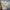 rose-kristall-tischlampe-16-farben-touch-usb-wiederaufladbar-xlumina6