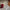 rose-kristall-tischlampe-16-farben-touch-usb-wiederaufladbar-xlumina3
