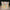handgemachte-tulpenlampe-led-nachtlicht-geschenk-usb-lampe-xlumina4
