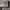 glas-kugel-pendelleuchte-nordic-design-messing-schlafzimmer-esszimmer-restaurant-bar-elegant-xlumina